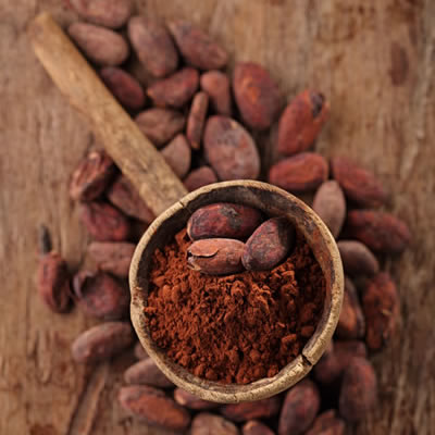 巧克力是一种受欢迎的烘焙原料，由可可树的种子制成。