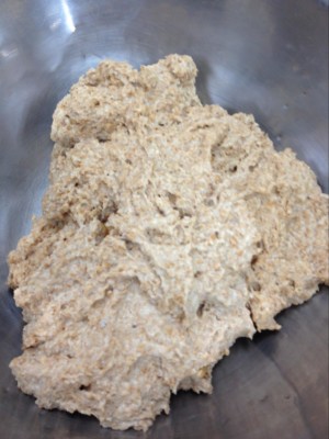 发芽的谷物泥浆面包营养