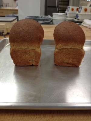 发芽小麦面包