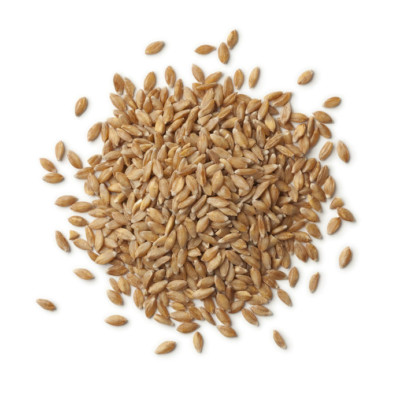 单粒小麦因其健康特性而受欢迎。