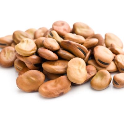 蚕豆可以晒干并磨成面粉，非常适合制作高蛋白面包和无麸质烘焙食品。