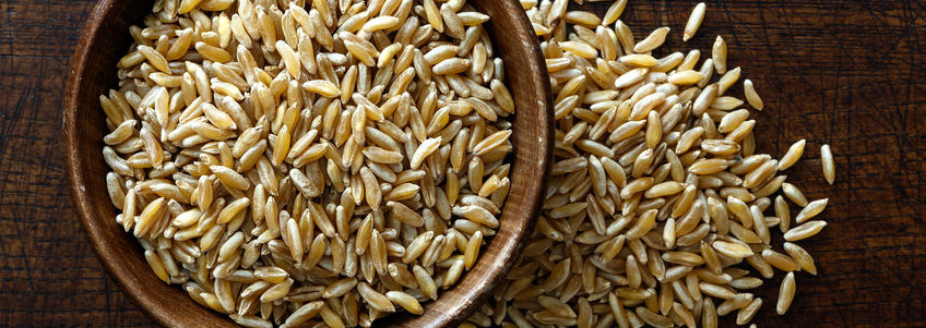 用呼罗珊小麦等古老谷物烘焙可以增加高蛋白等健康益处。