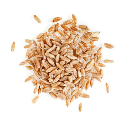 Emmer是一个古代小麦和现代杜伦兰的祖先。