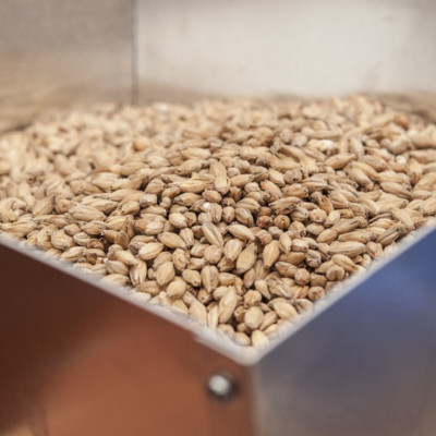 麦芽是一种使谷物发芽并使其发芽的酶过程的结果。
