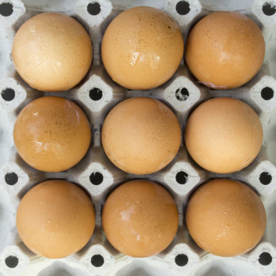用于烘焙产品生产的蛋类规格表是一份文件，它表达并定义了蛋类供应商必须满足的要求，以符合烘焙产品的配料质量规格和加工条件。