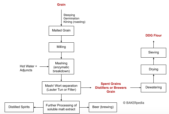DDG面粉生产过程的框图。