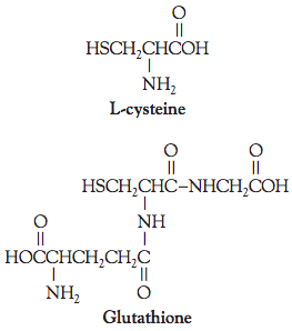 半胱氨酸发生在来自酵母的三肽谷胱甘肽中的面粉中的麸质蛋白质中，并在游离氨基酸形式中作为合成还原剂。