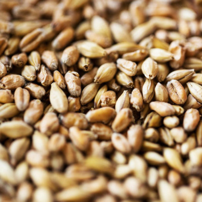 粒度指数(PSI)是反映小麦磨粉和烘烤性能的指标，与麦粒硬度和面粉粒度有关。