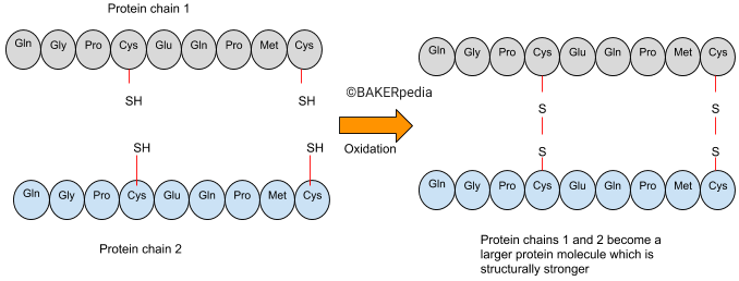 解释溴酸钾作用的机制的例证。