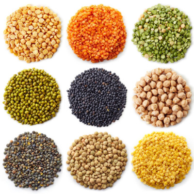 鹰嘴豆、小扁豆、羽扇豆、高粱、蚕豆和许多其他豆类都可以作为大豆的替代品。
