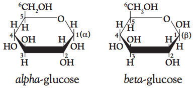 淀粉由D-葡萄糖的线性和支链聚合物组成。