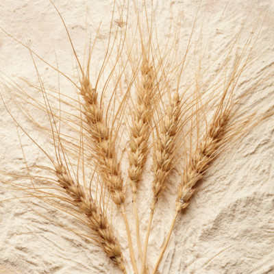 一些品种的抗性淀粉由小麦制成，可以帮助强化面包产品。