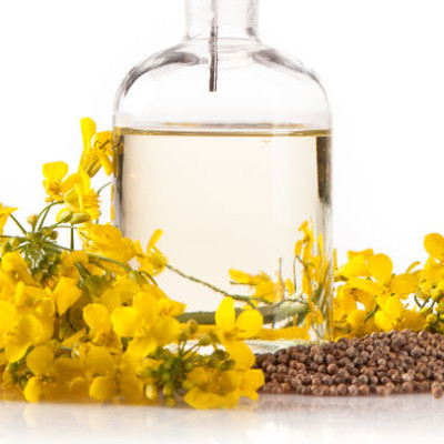 菜籽油是食品生产中最重要的植物油之一。