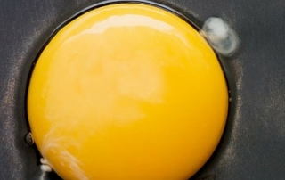 蛋黄充当乳化剂，保持产品中的水分。
