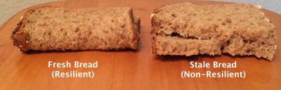 图1：新鲜的VS陈旧面包，表明了弹性的重要性。