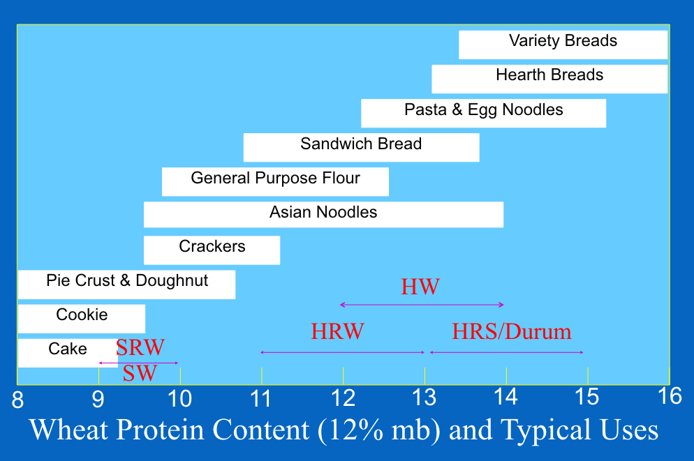 小麦类蛋白质含量