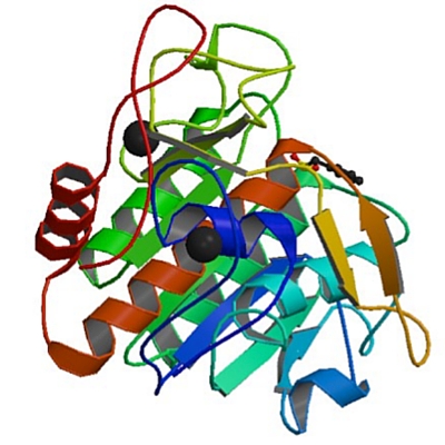 酶Aqualysin（蛋白酶）的3D结构。