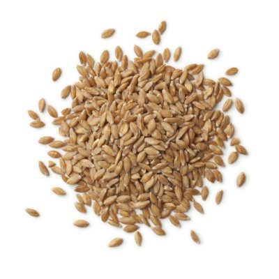 单粒小麦小麦是受欢迎的健康属性。