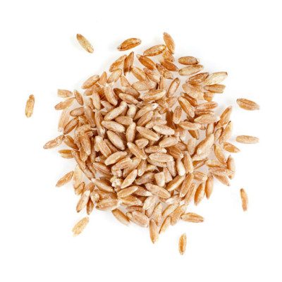 二粒小麦是一种古老的小麦，也是现代刚玉的祖先。