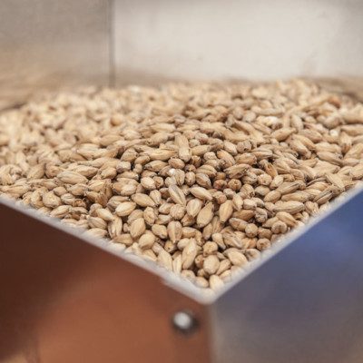 麦芽是用于发芽谷物并允许其发芽的酶促过程的结果。