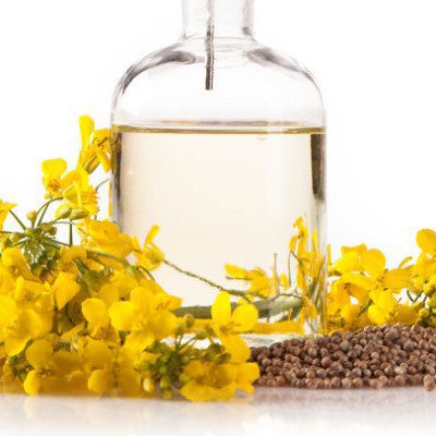 菜籽油是食品生产中最重要的植物油。