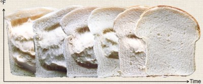 面包切片说明时间/温度S曲线，显示出热调的重要性。